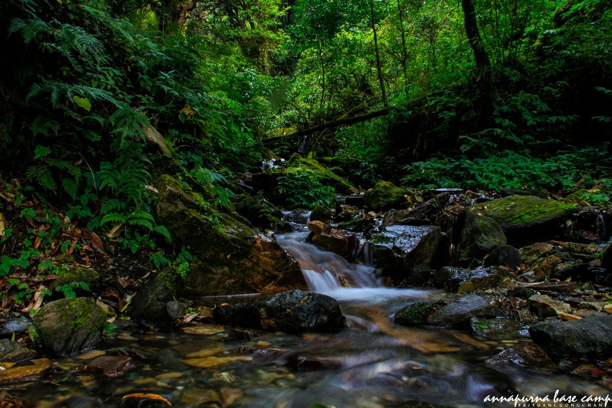 Chinh phuc Annapurna Base Camp anh 6
