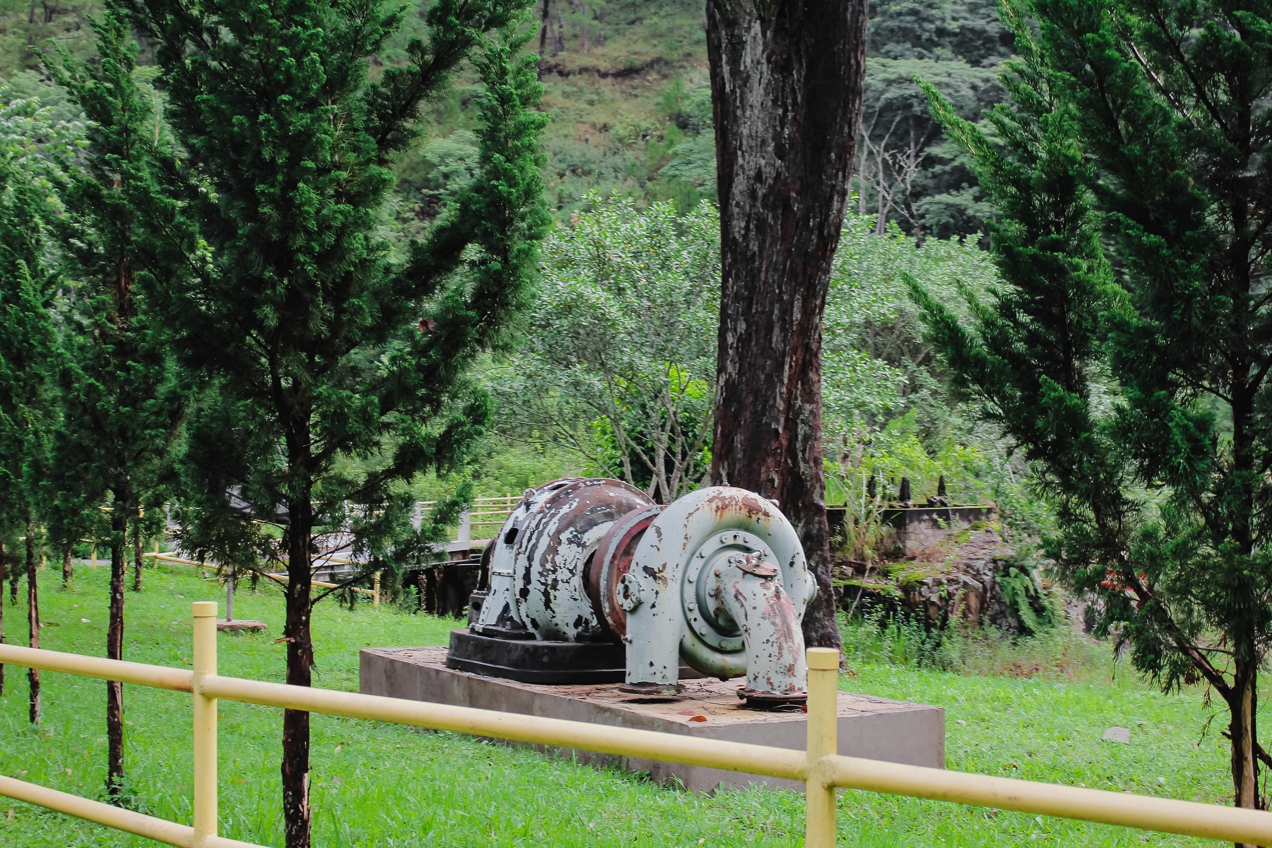 Du lịch Đà Lạt ảnh 4 Du lich Da Lat anh 4