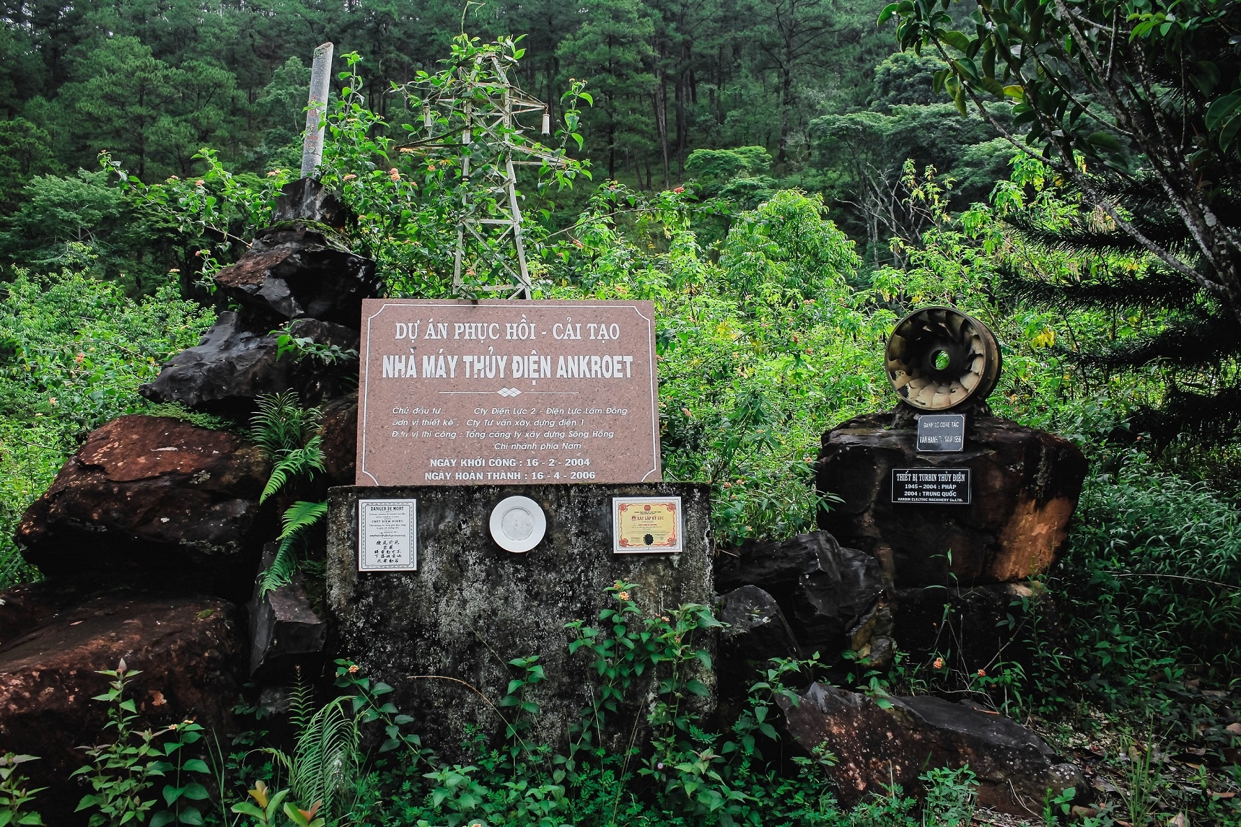 Du lịch Đà Lạt ảnh 1 Du lich Da Lat anh 1