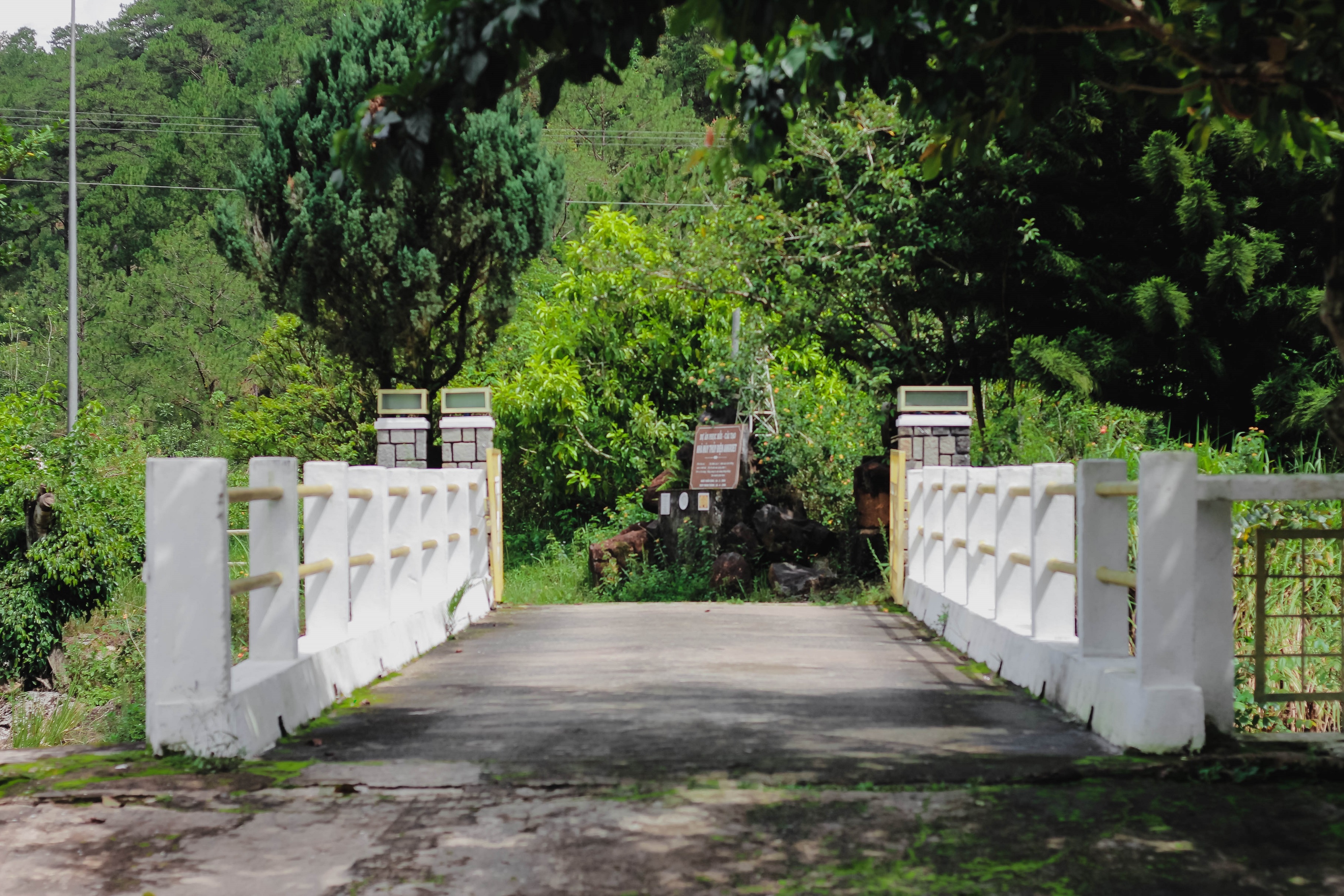 Du lịch Đà Lạt ảnh 11 Du lich Da Lat anh 11