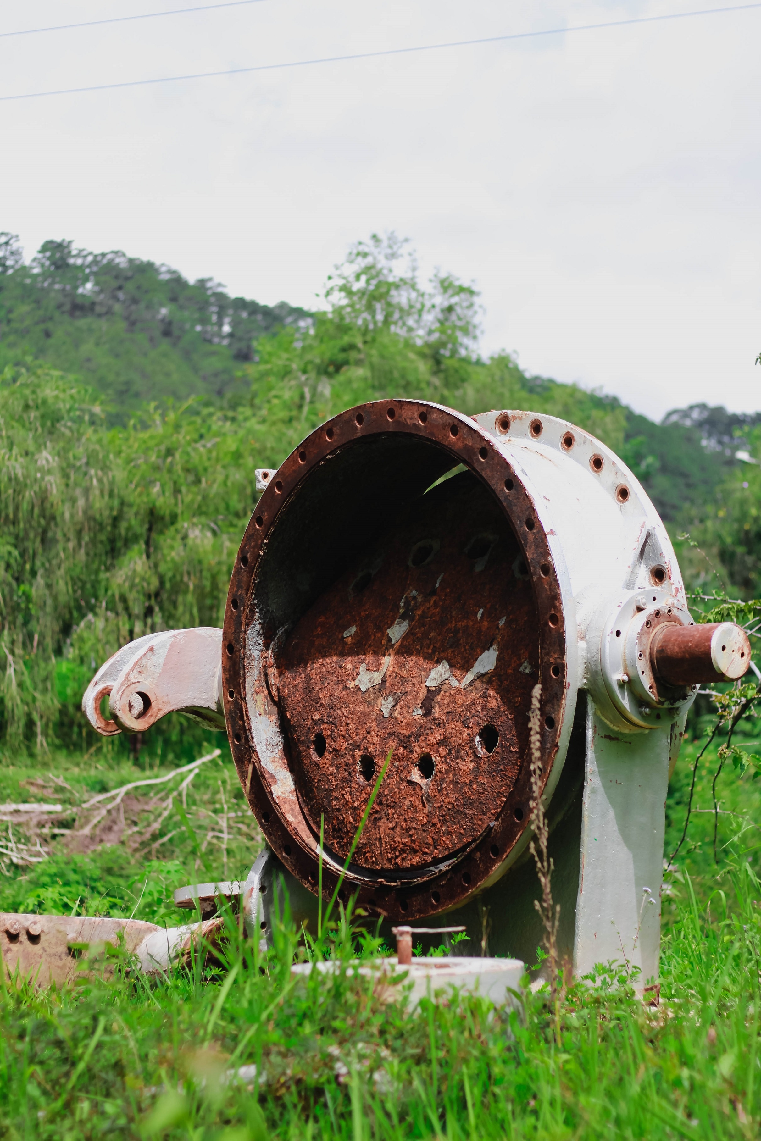 Du lịch Đà Lạt ảnh 12 Du lich Da Lat anh 12