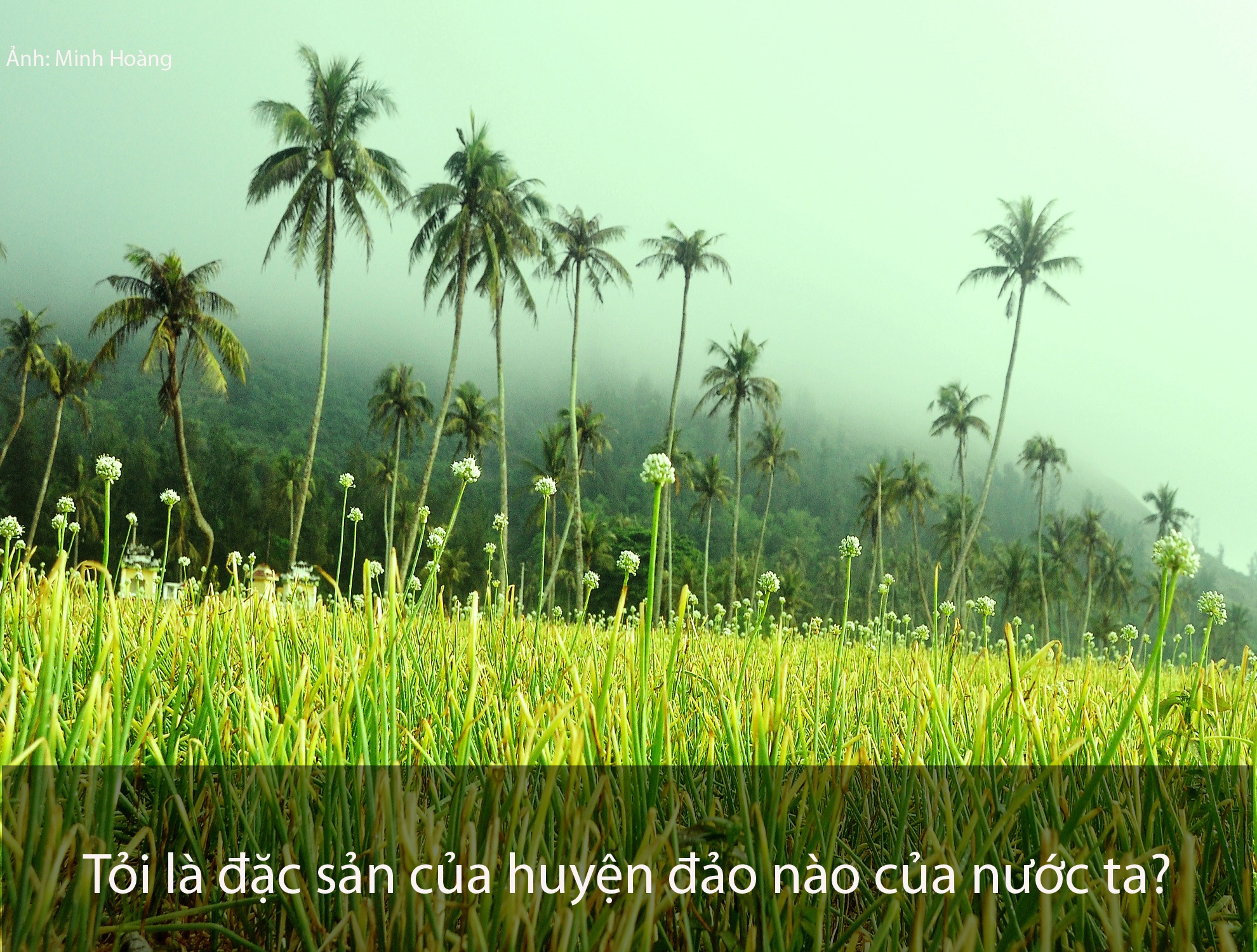 Biển đảo Việt Nam ảnh 1 Bien dao Viet Nam anh 1