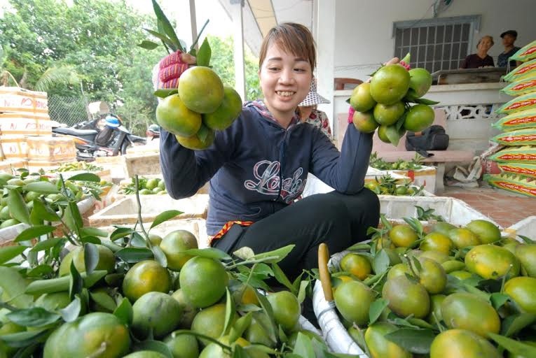 Mua he den mien Tay nen an gi? hinh anh