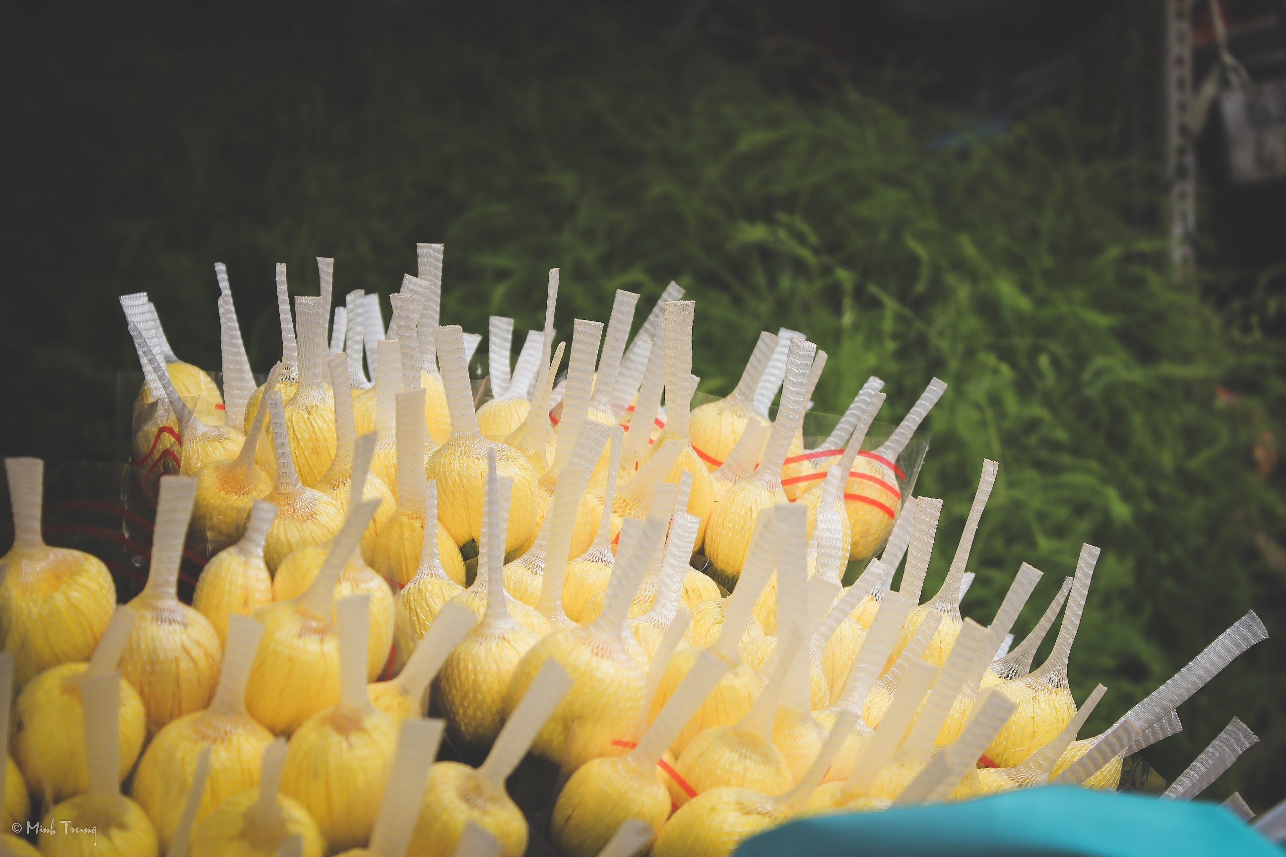 Sai Gon,  cho hoa,  Ho Thi Ky,  lon nhat anh 3