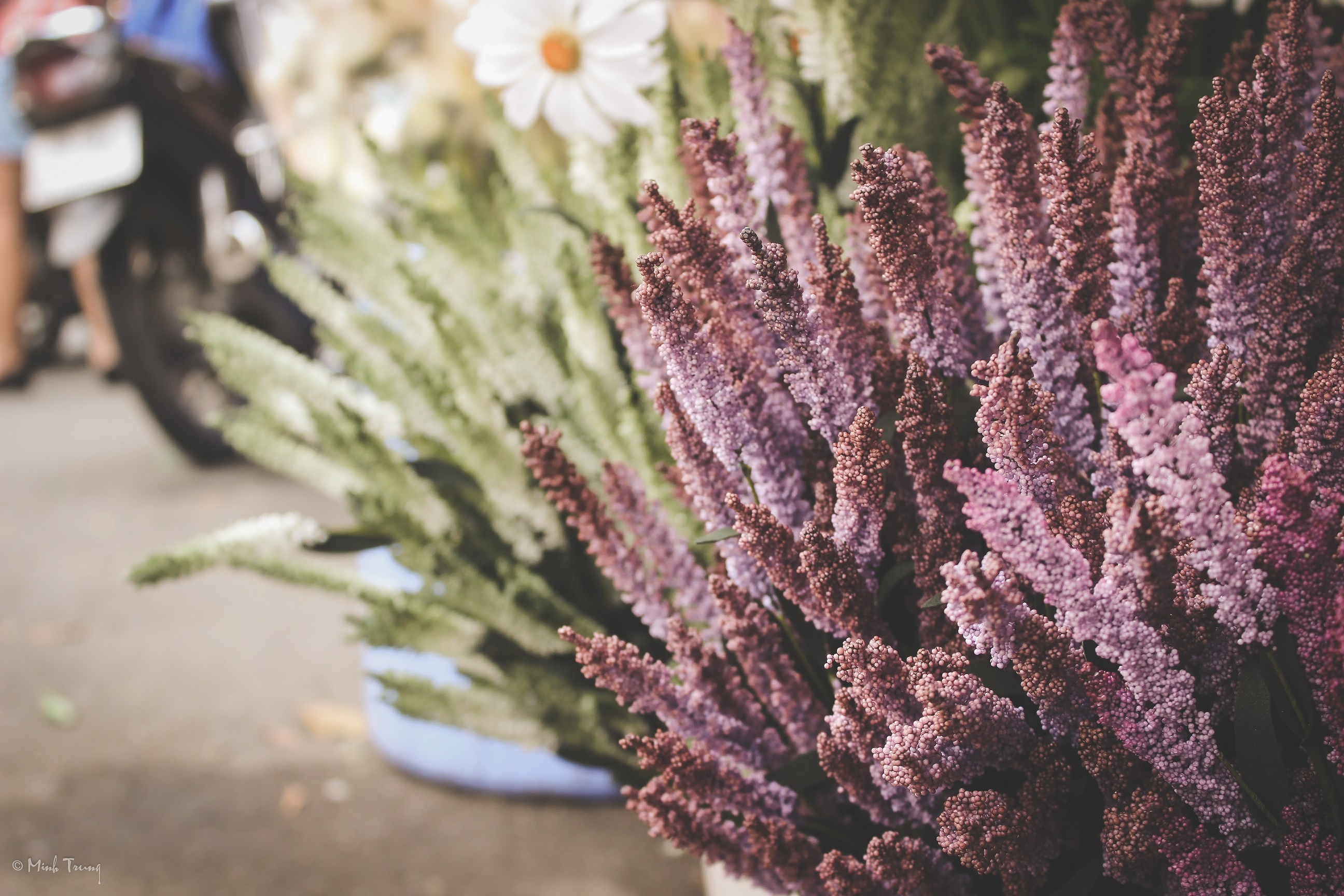 Sai Gon,  cho hoa,  Ho Thi Ky,  lon nhat anh 7