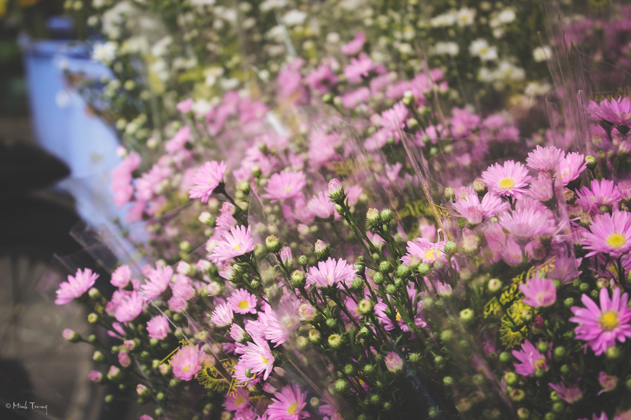 Sai Gon,  cho hoa,  Ho Thi Ky,  lon nhat anh 8