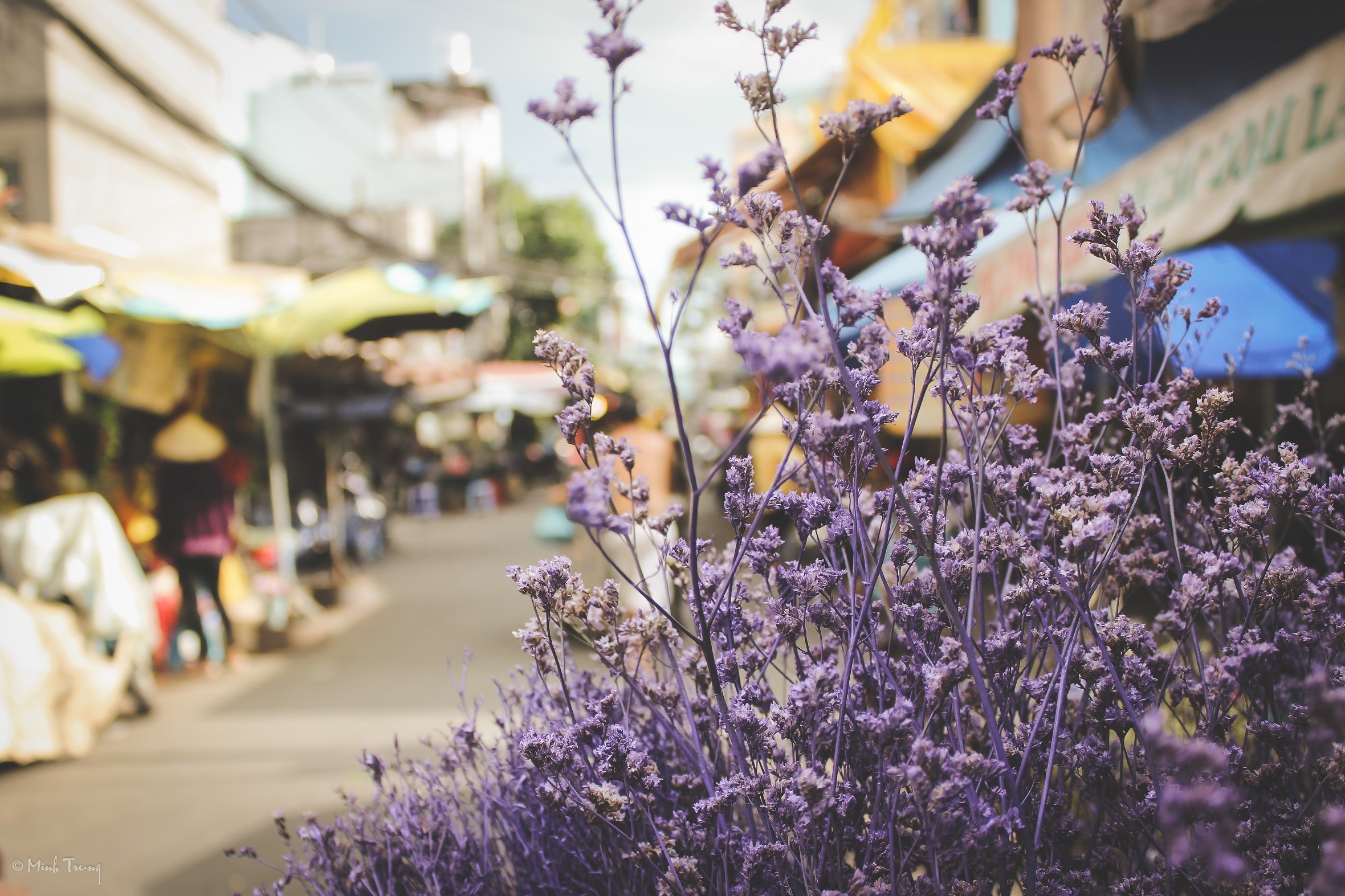 Sac mau binh di tai cho hoa lon nhat Sai Gon hinh anh