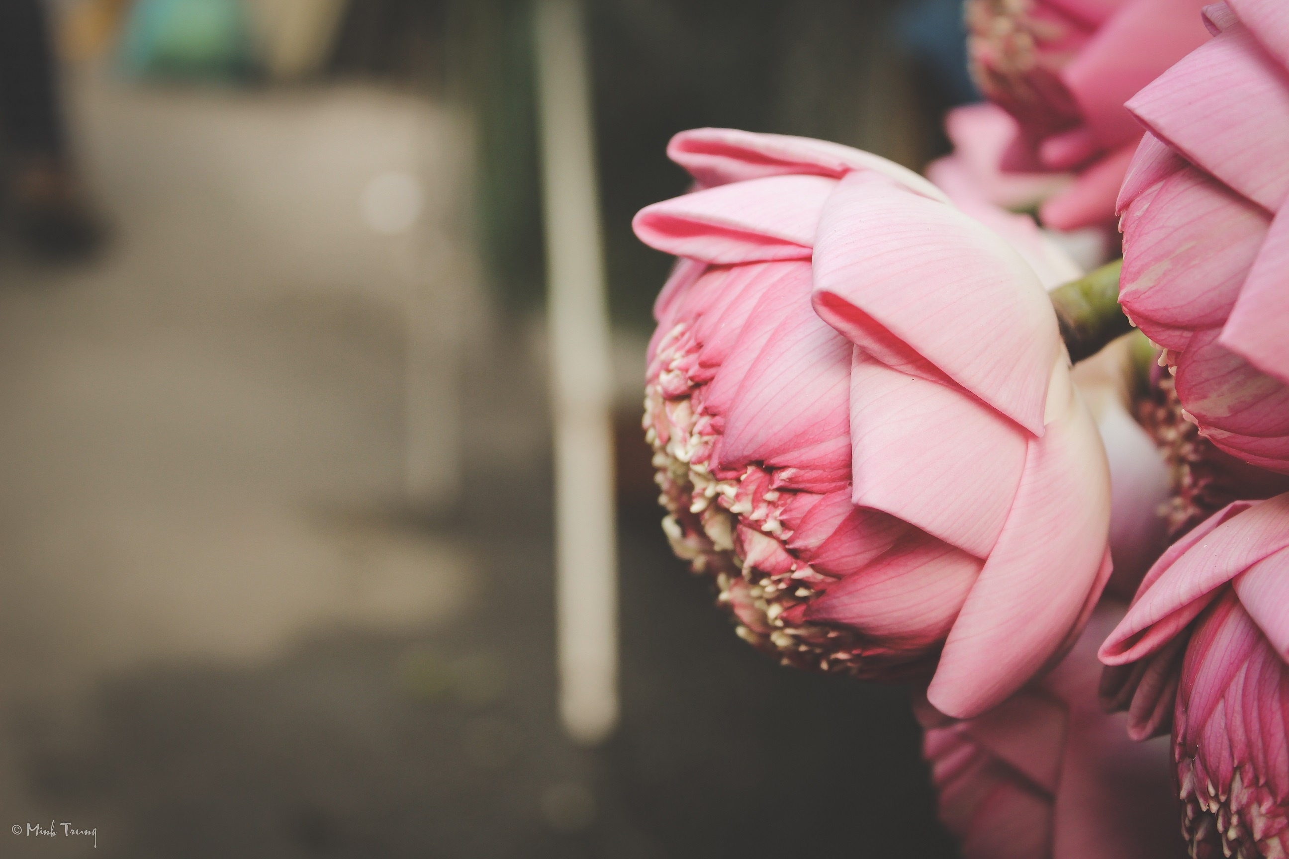 Sai Gon,  cho hoa,  Ho Thi Ky,  lon nhat anh 10