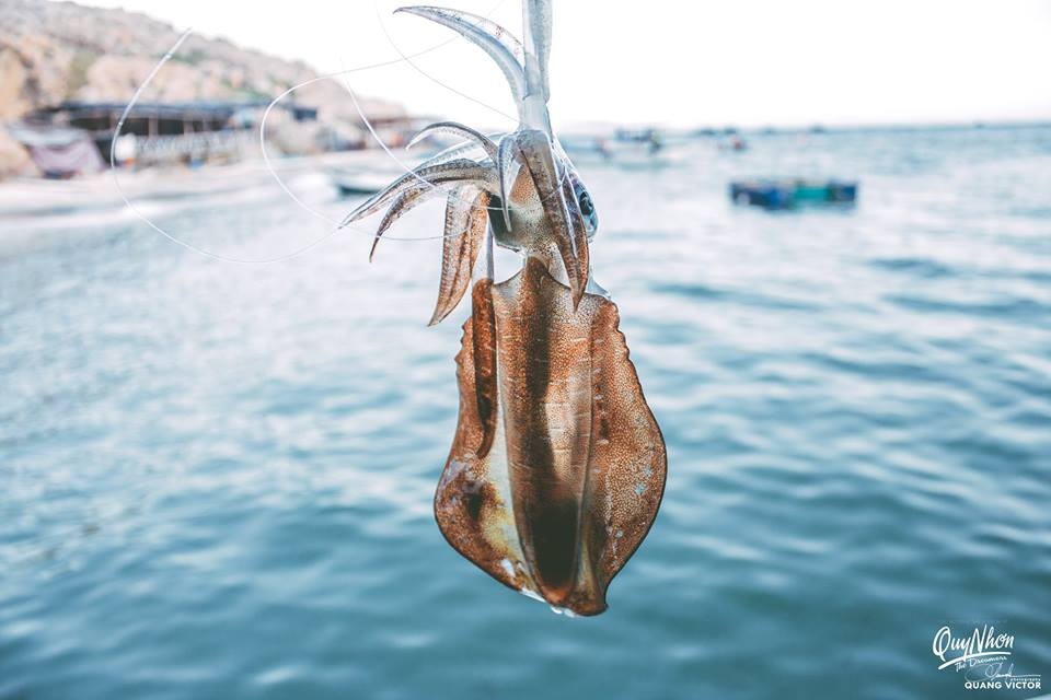 Biển đảo Quy Nhơn ảnh 16 Bien dao Quy Nhon anh 16