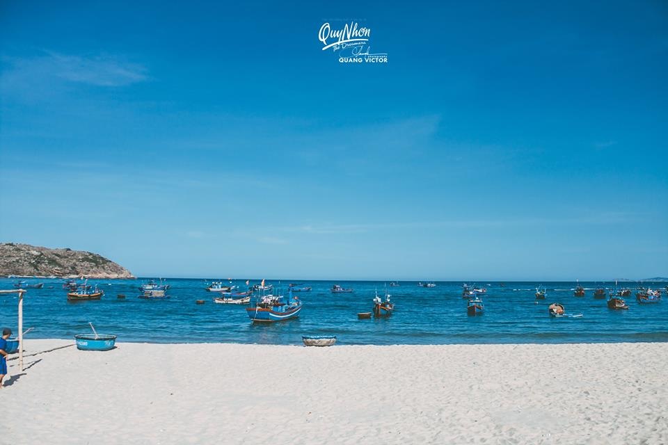 Biển đảo Quy Nhơn ảnh 2 Bien dao Quy Nhon anh 2