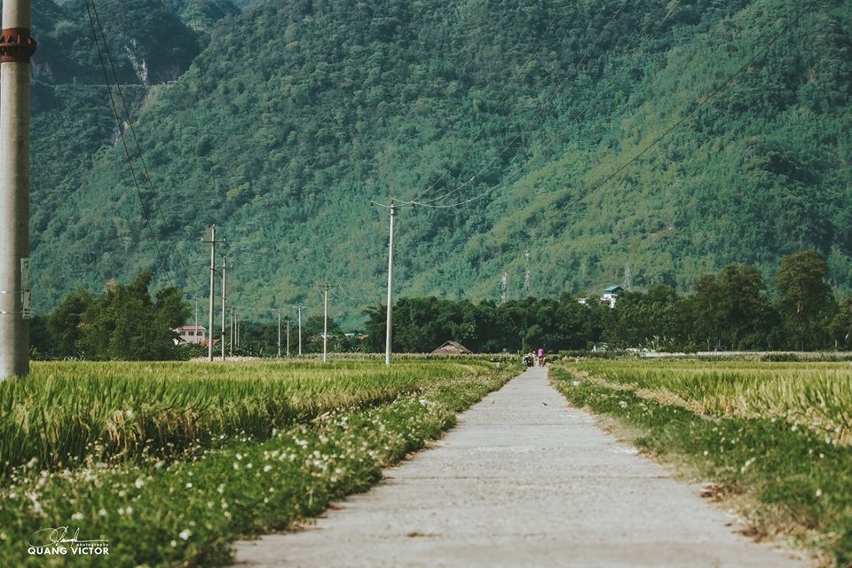 Phuot Ban Lac mua gat anh 9