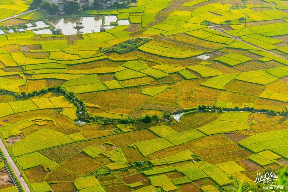 Phuot Ban Lac mua gat anh 5