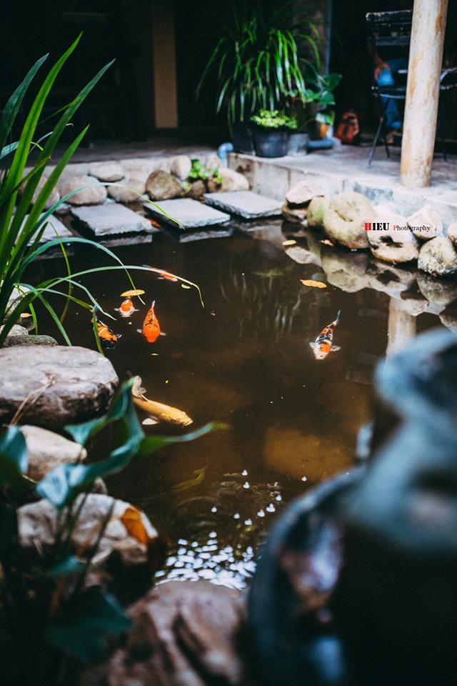 Quán cà phê Hội An ảnh 9 Quan ca phe Hoi An anh 9