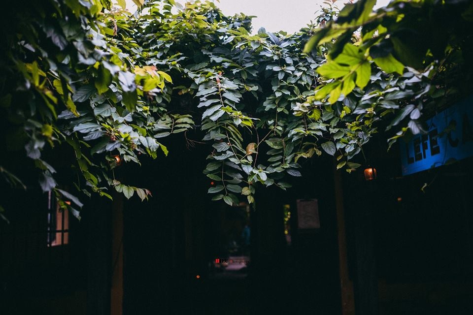 Quán cà phê Hội An ảnh 7 Quan ca phe Hoi An anh 7