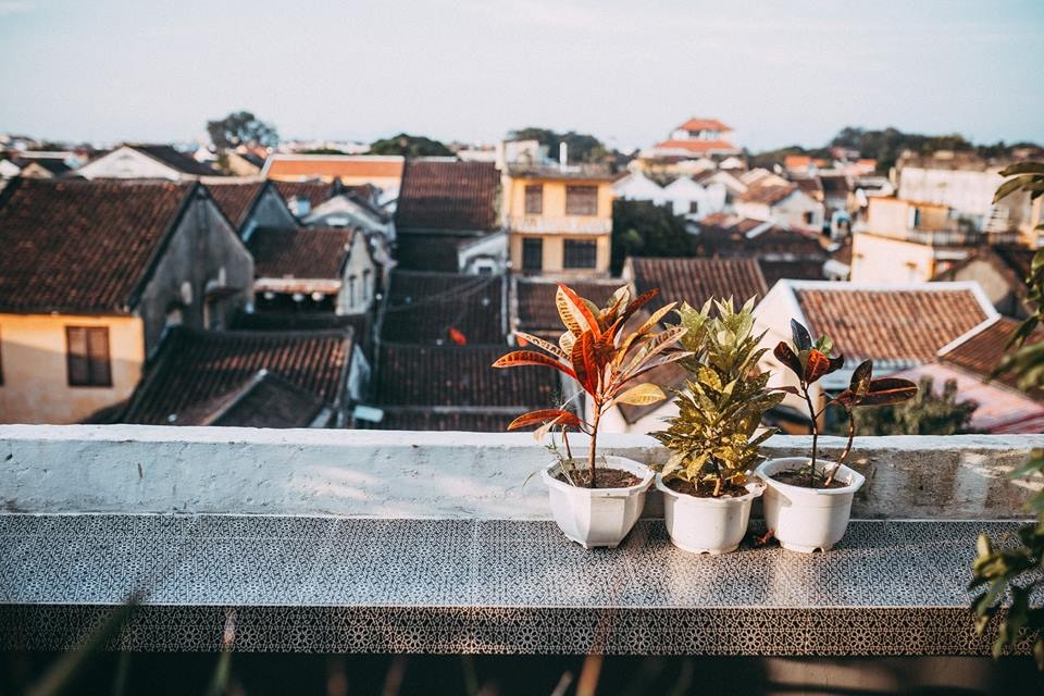 Quán cà phê Hội An ảnh 12 Quan ca phe Hoi An anh 12