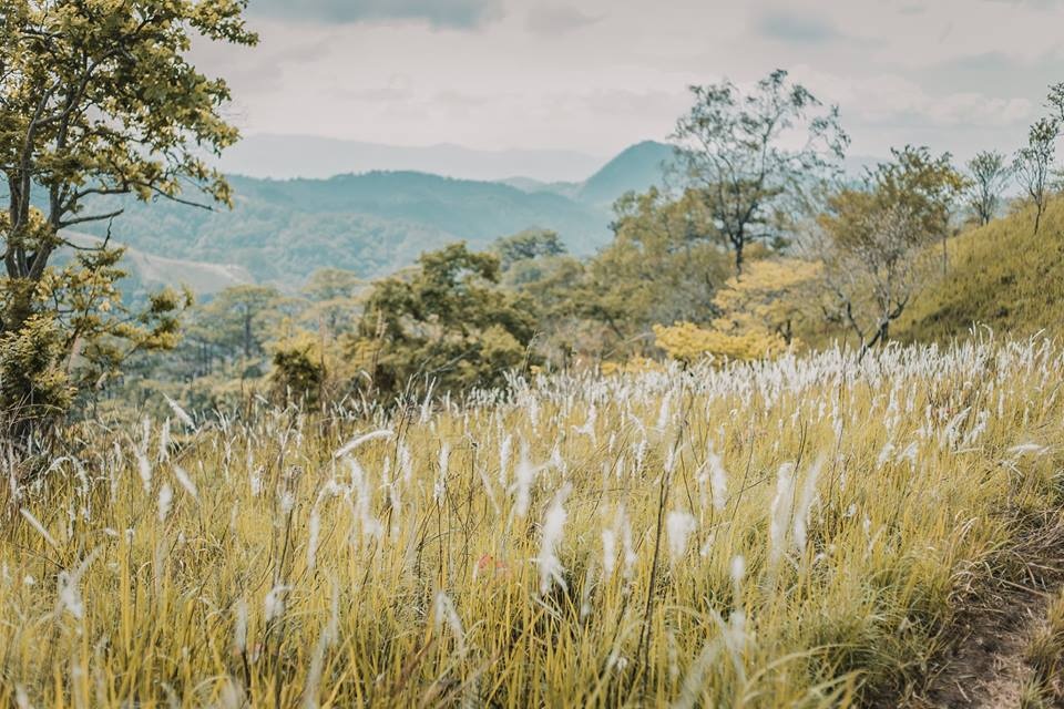 Kham pha Ta Nang - Phan Dung anh 15