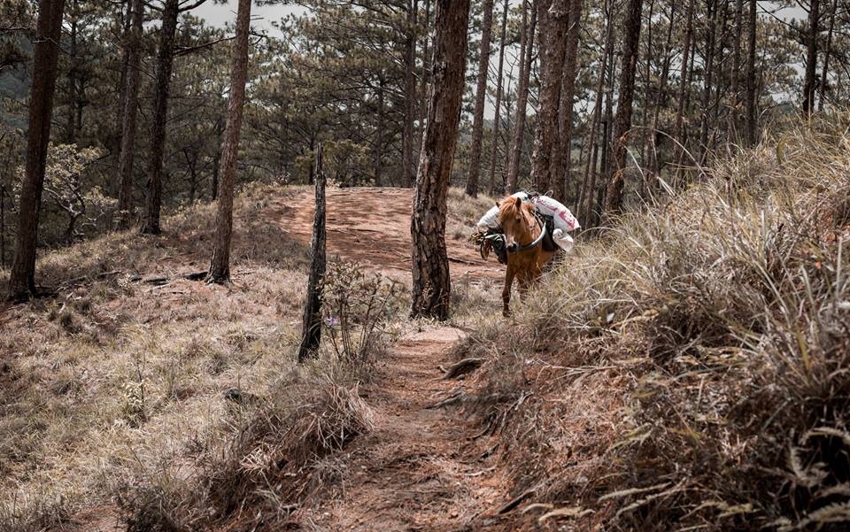 Kham pha Ta Nang - Phan Dung anh 5
