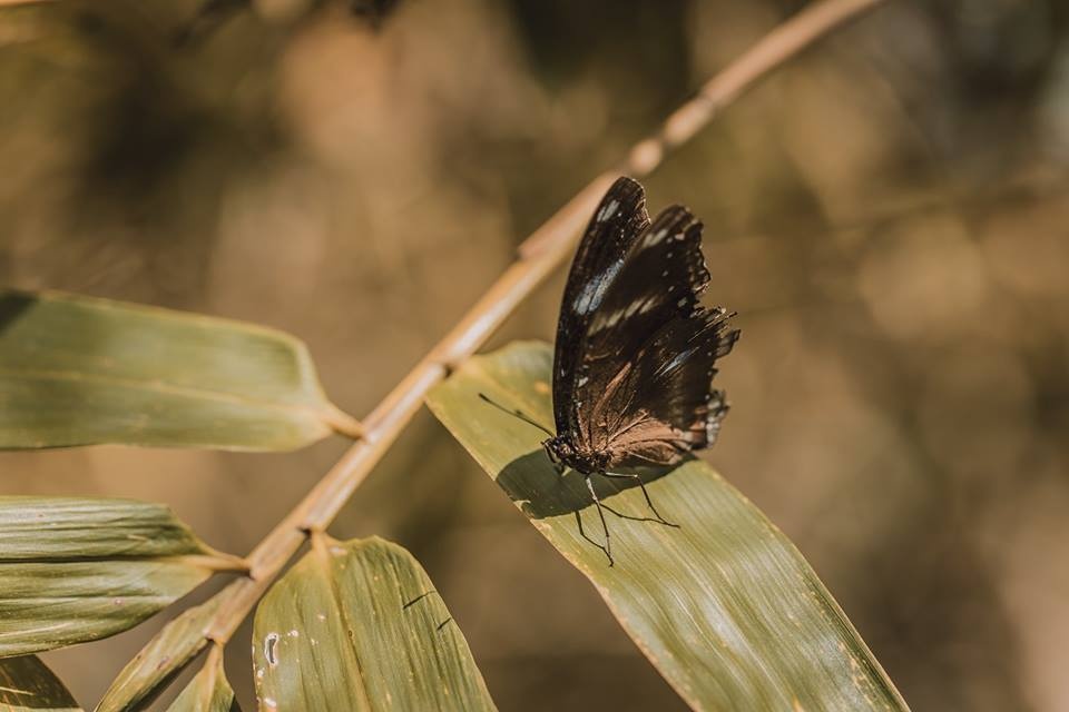 Kham pha Ta Nang - Phan Dung anh 14