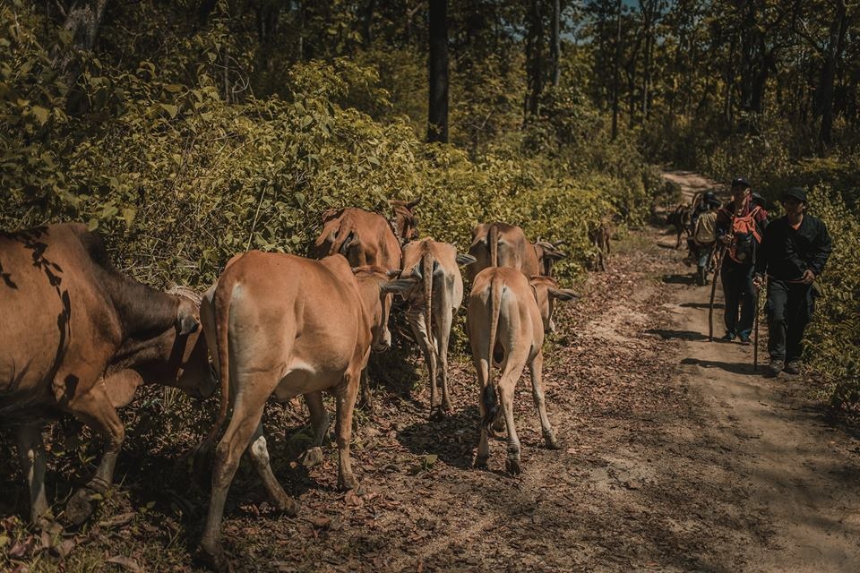 Kham pha Ta Nang - Phan Dung anh 17