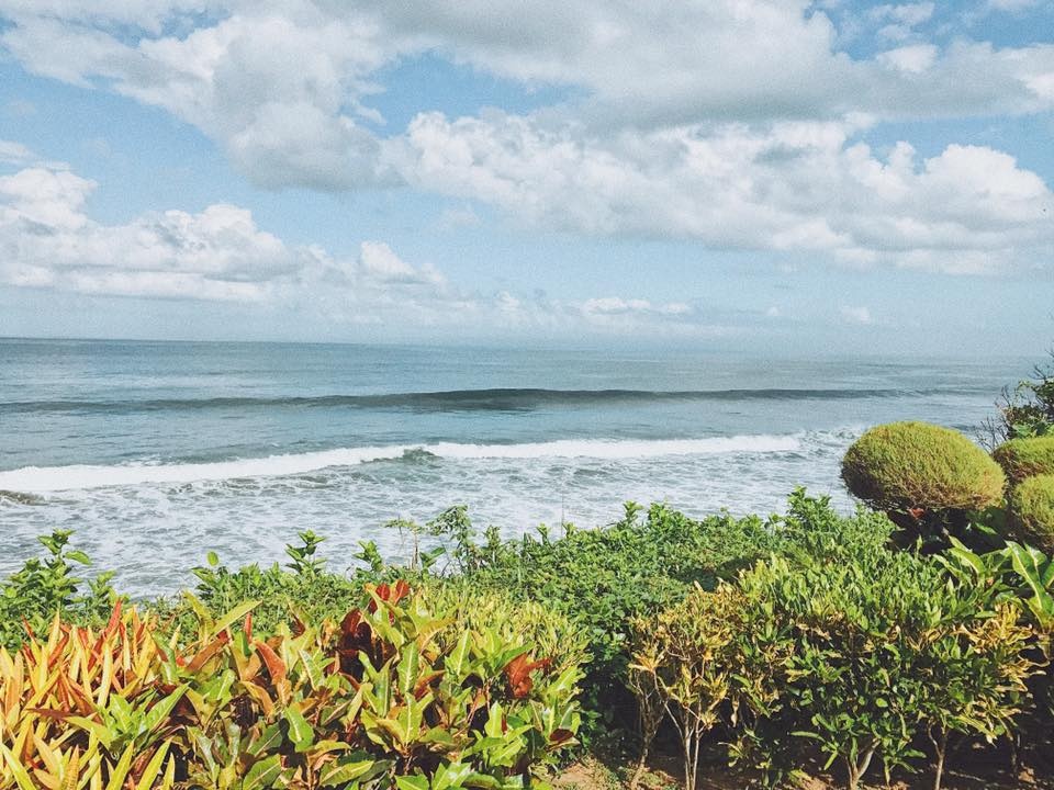 Hoa hậu Kỳ Duyên ảnh 14 Hoa hau Ky Duyen anh 14