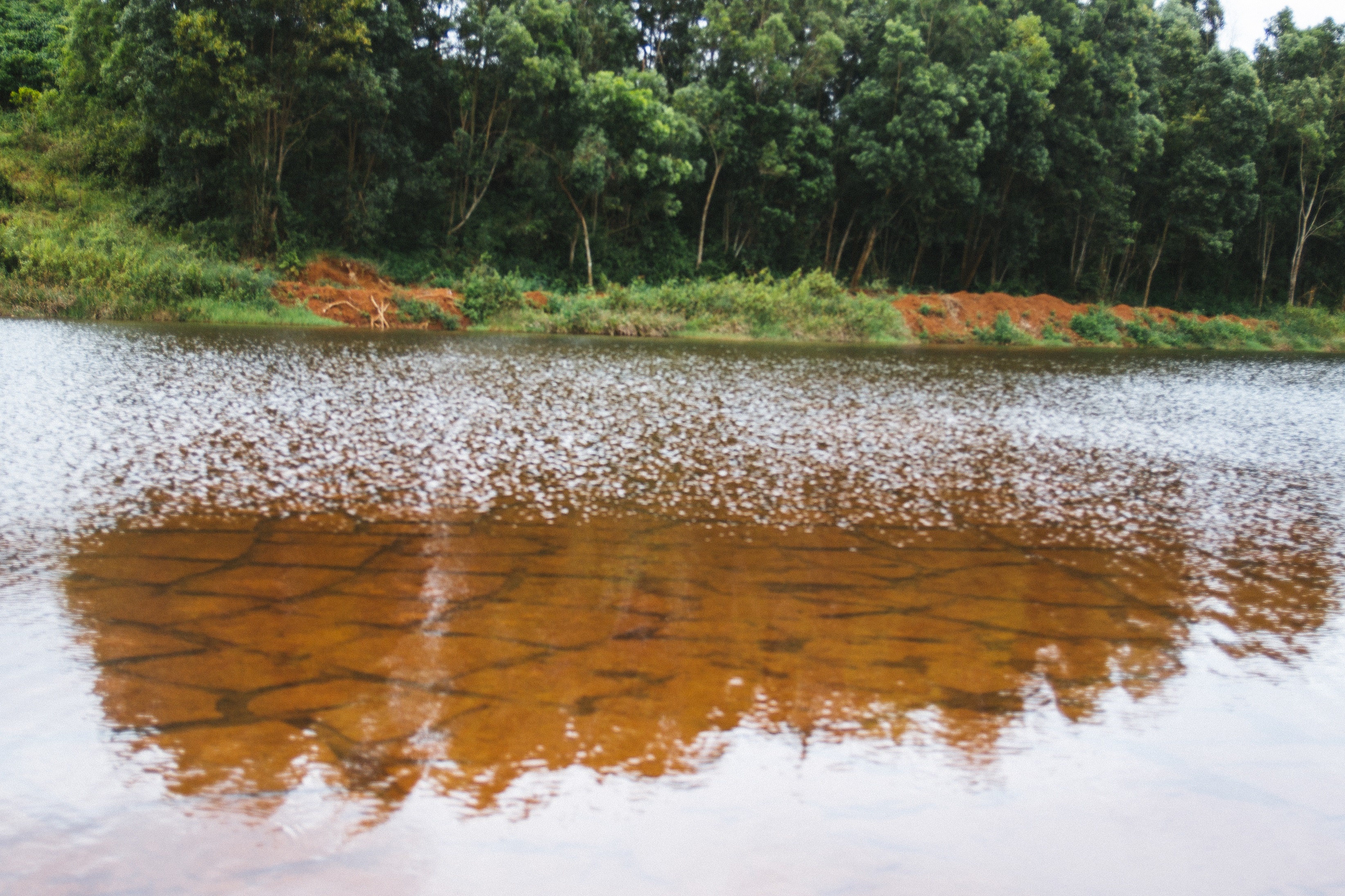 Vung dat poxit anh 5