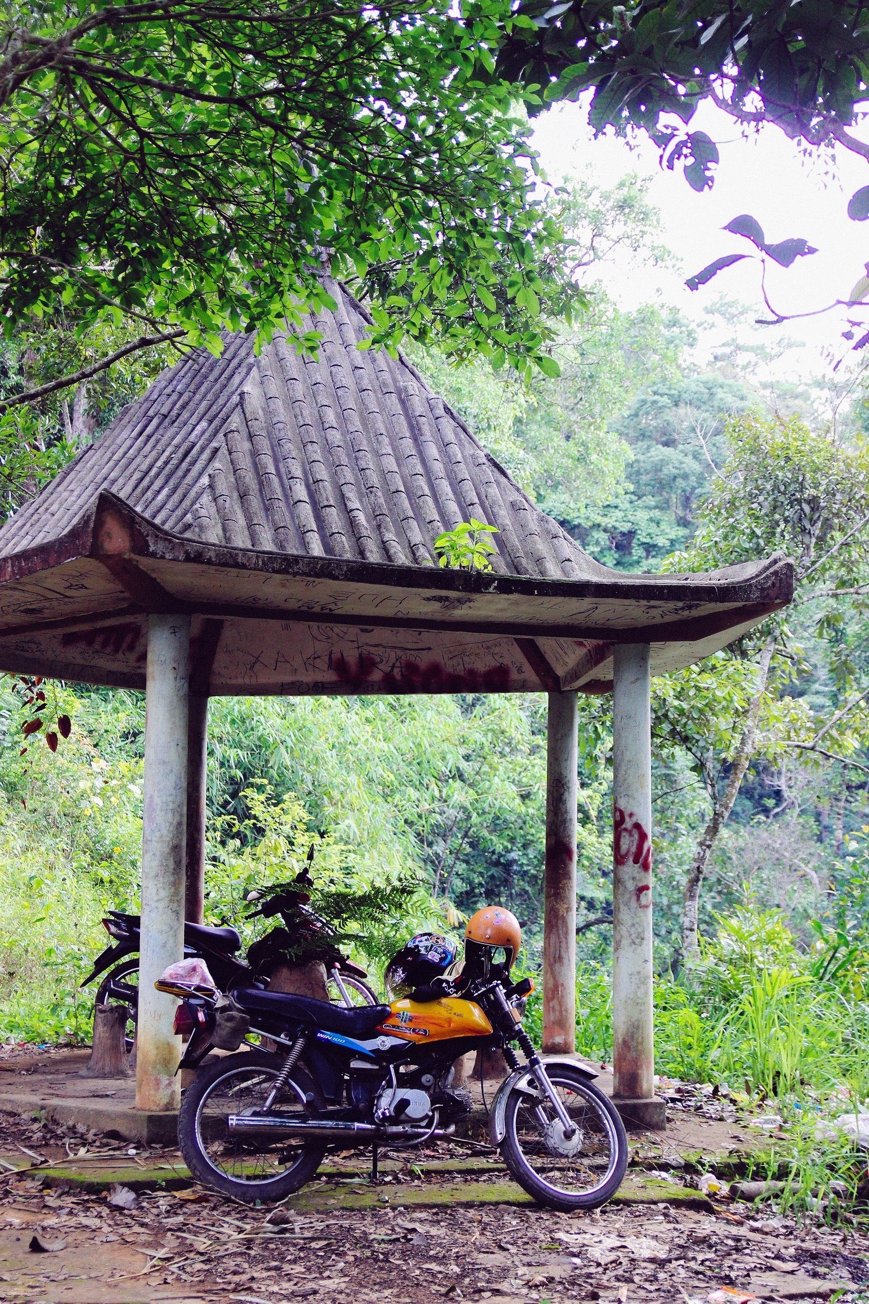 Thac Liliang bo hoang anh 7