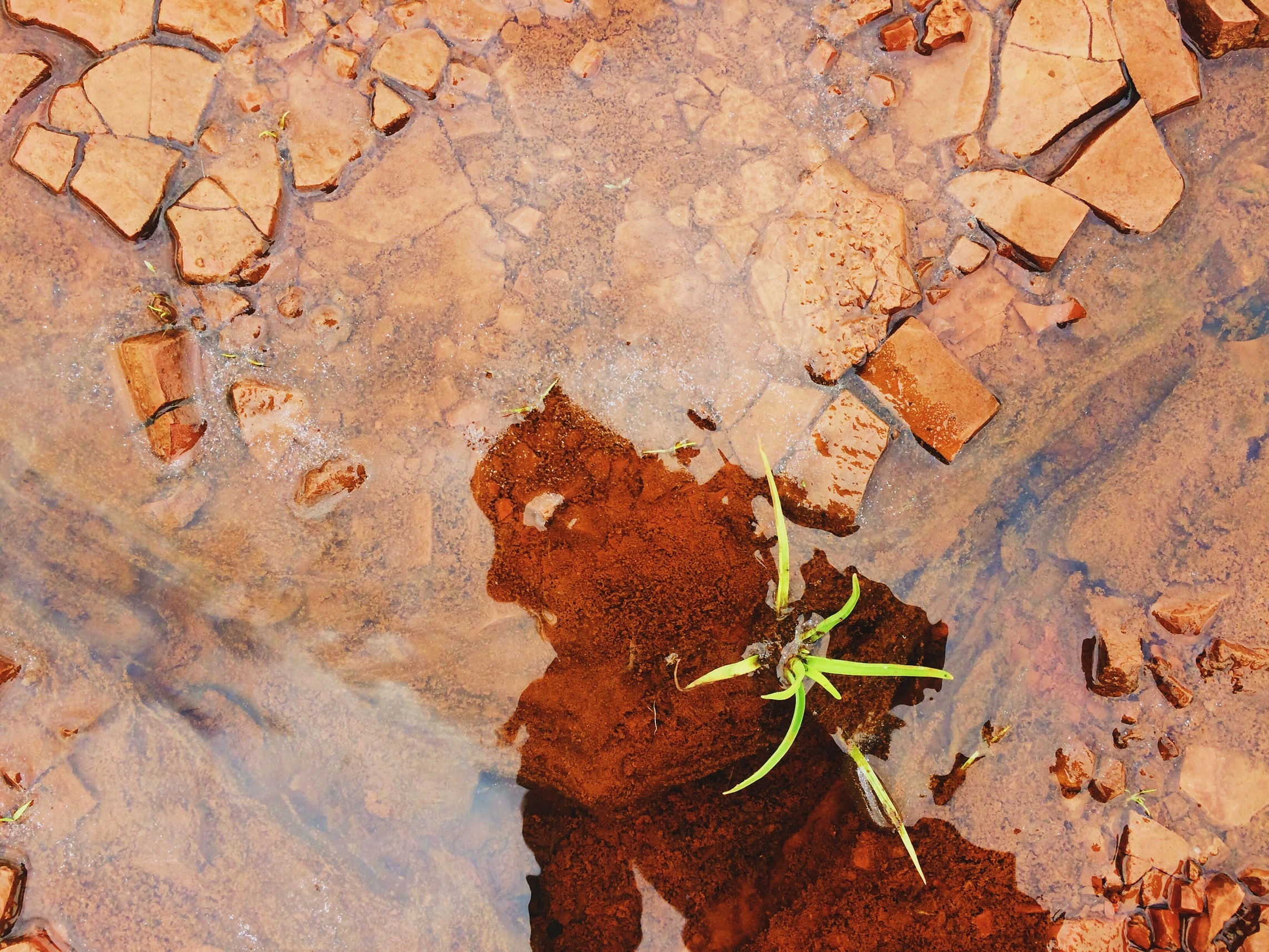 Vung dat poxit anh 8