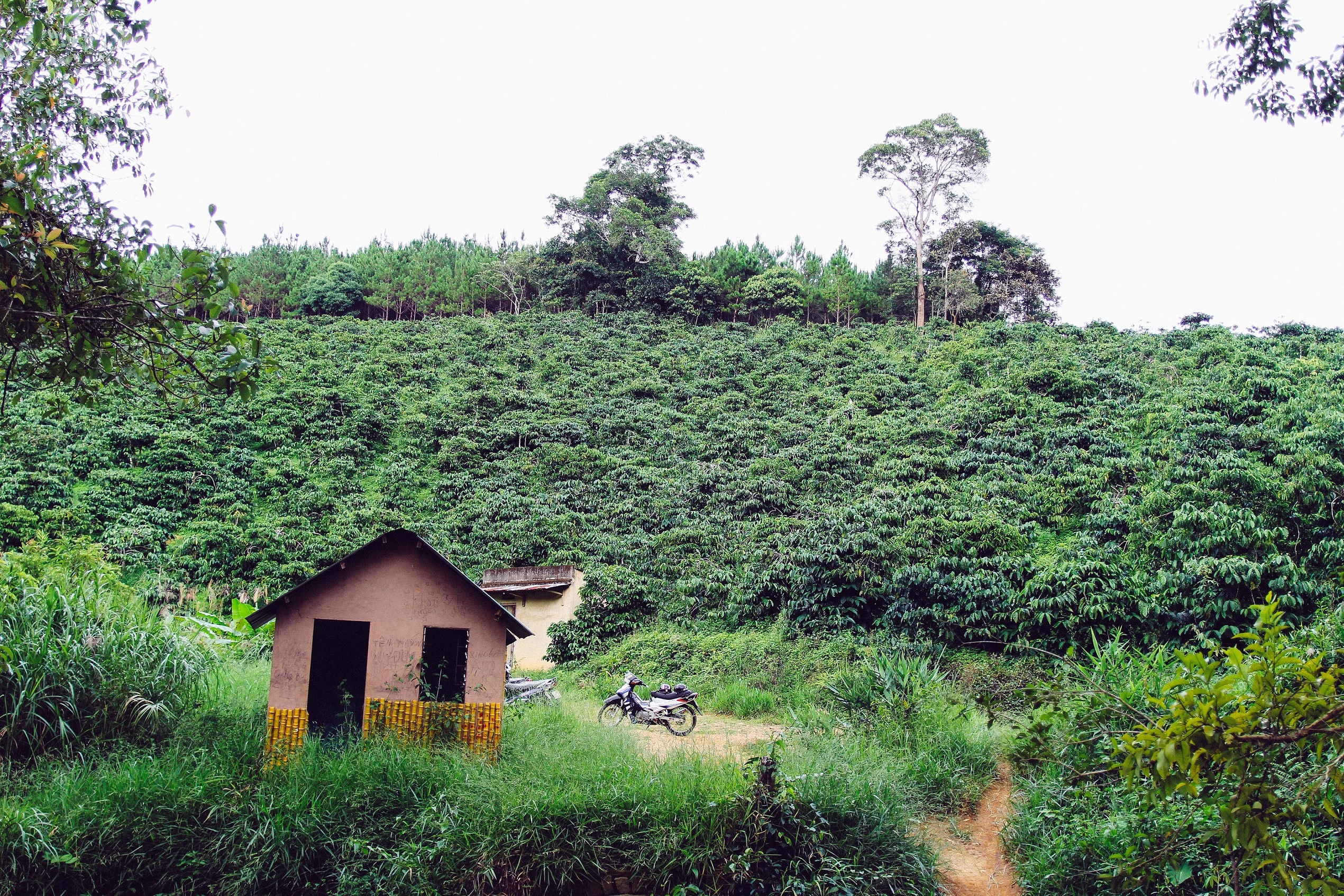 Thac Liliang bo hoang anh 8