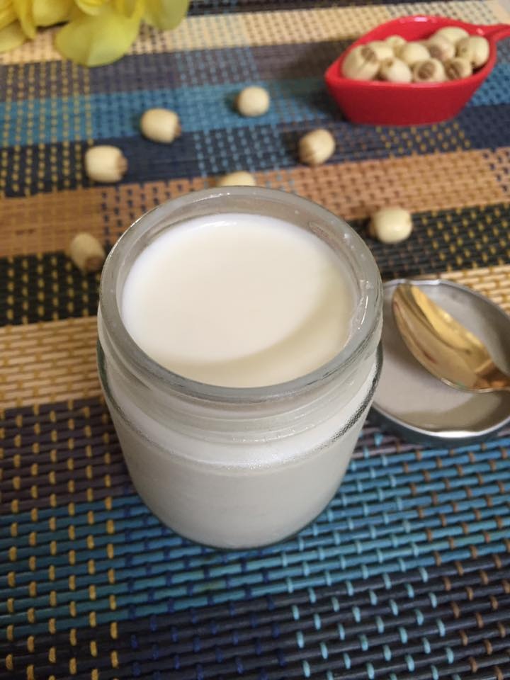 Sua chua hat sen anh 1