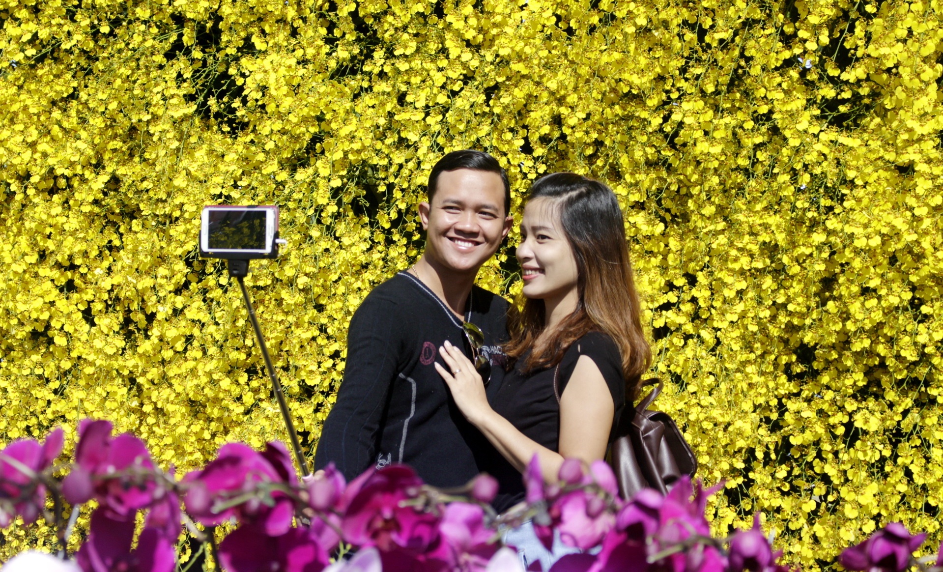 Festival hoa Đà Lạt  ảnh 1 Festival hoa Da Lat anh 1