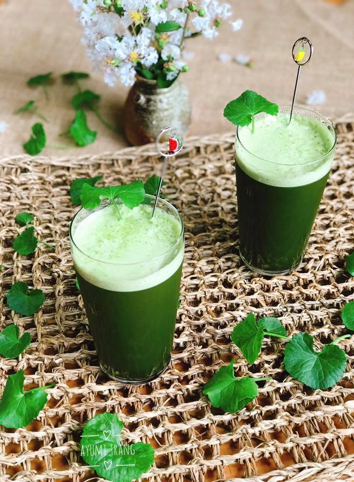 Sinh tố rau má dừa tươi ảnh 2 Sinh to rau ma dua tuoi anh 2