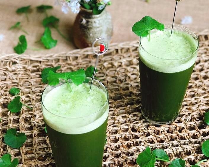 Sinh to rau ma, dua tuoi thanh loc co the hieu qua hinh anh