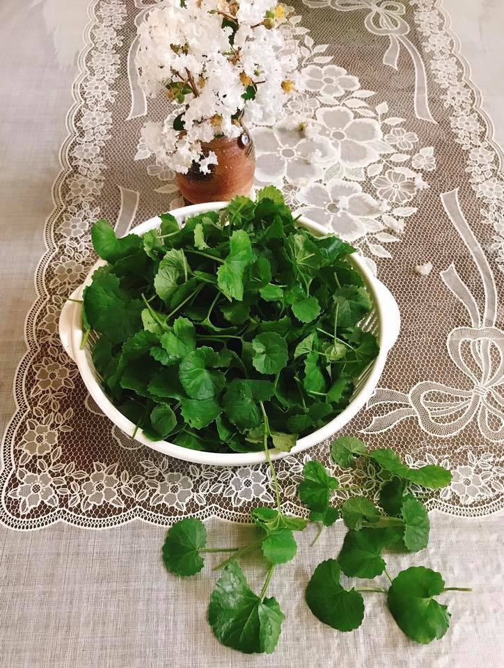 Sinh tố rau má dừa tươi ảnh 1 Sinh to rau ma dua tuoi anh 1