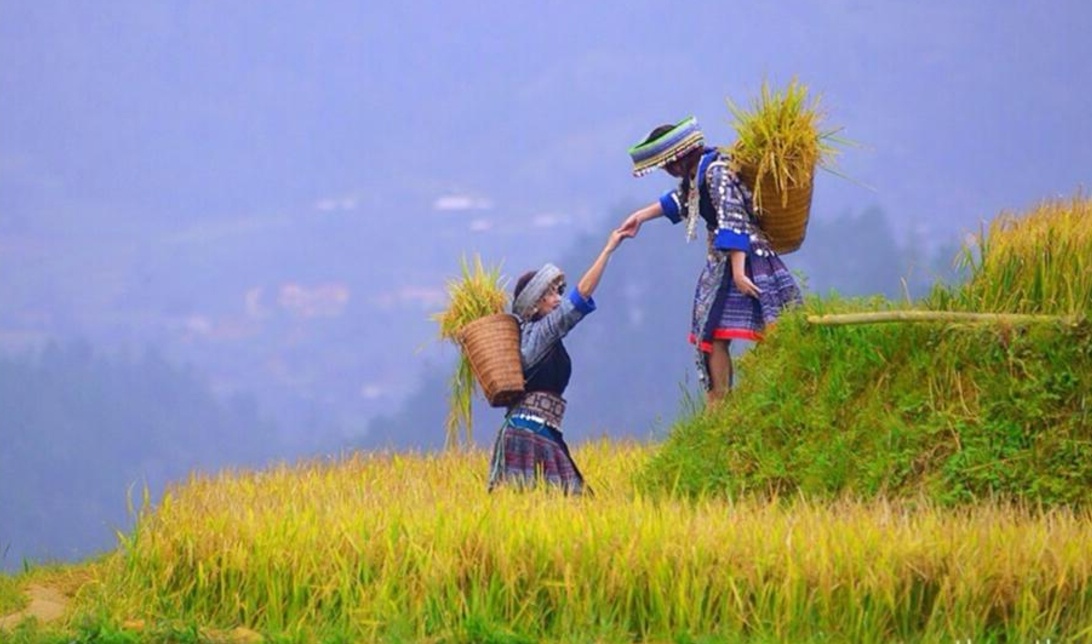 Dấu ấn Việt Nam ảnh 8 Dau an Viet Nam anh 8