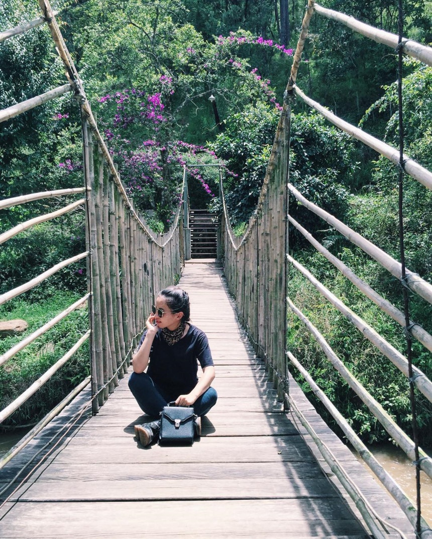 Du lịch Đà Lạt ảnh 12 Du lich Da Lat anh 12