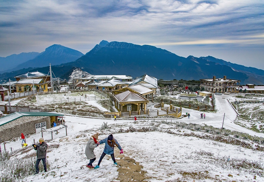 Dau an Viet Nam anh 1