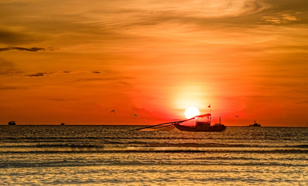 Dau an Viet Nam anh 5