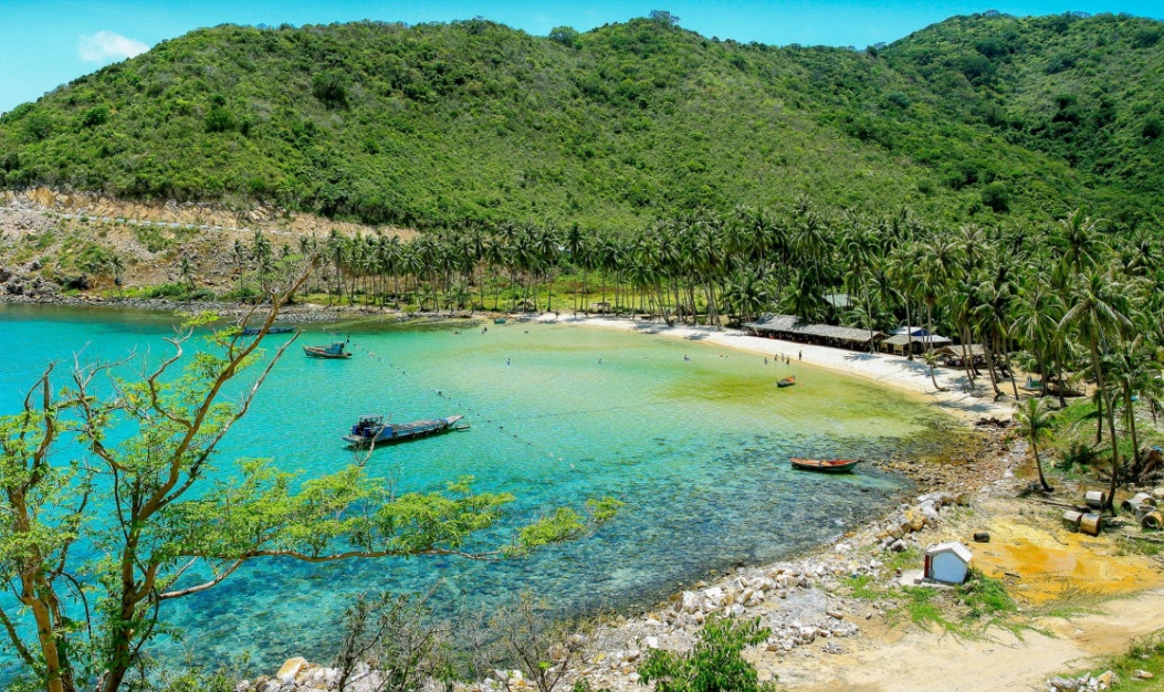 Dấu ấn Việt Nam ảnh 7 Dau an Viet Nam anh 7