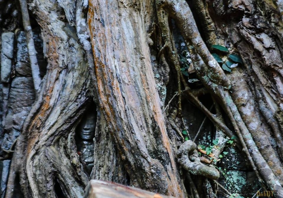 Kham pha Campuchia anh 8