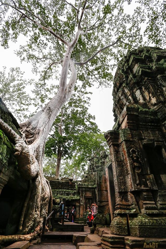 Kham pha Campuchia anh 4