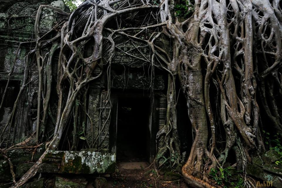 Kham pha Campuchia anh 7