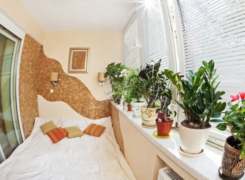 8 loai cay nen dat trong phong ngu hinh anh