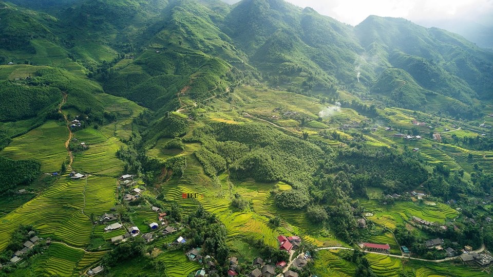 SaPa mùa lúa chín ảnh 2 SaPa mua lua chin anh 2