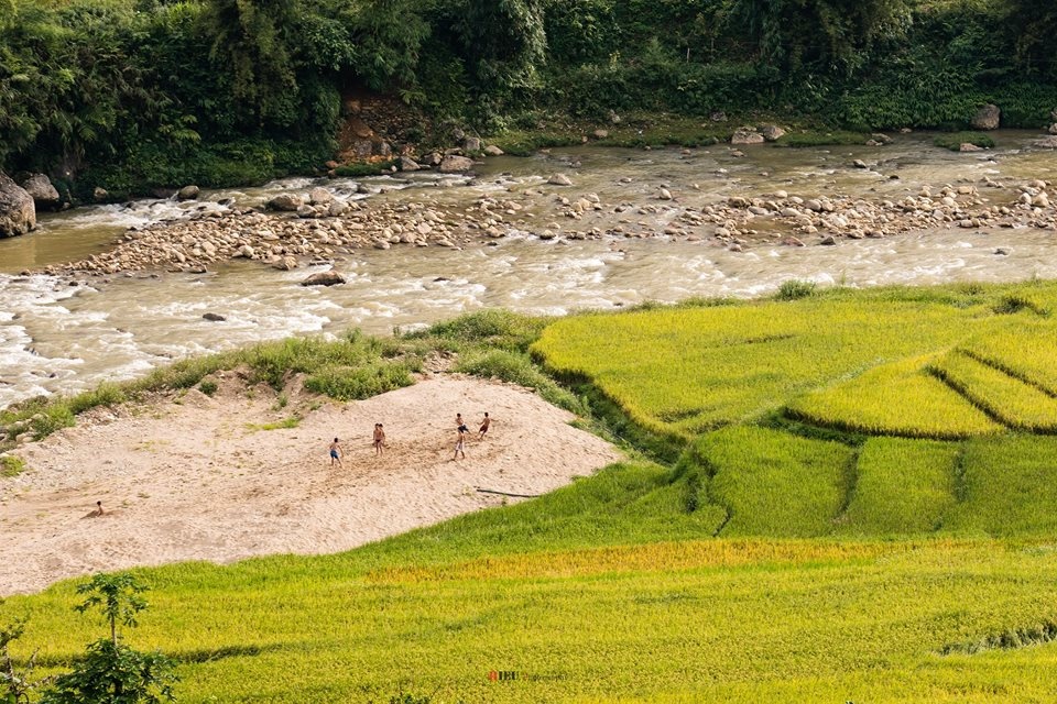 SaPa mùa lúa chín ảnh 5 SaPa mua lua chin anh 5