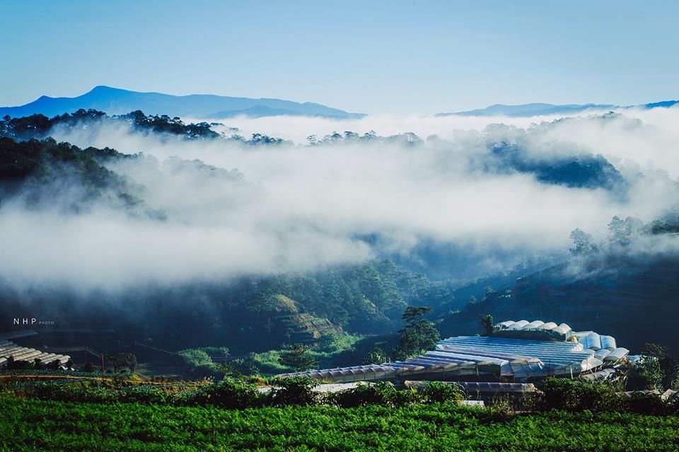 Du lich Da Lat anh 1