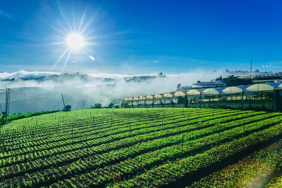 Du lich Da Lat anh 11