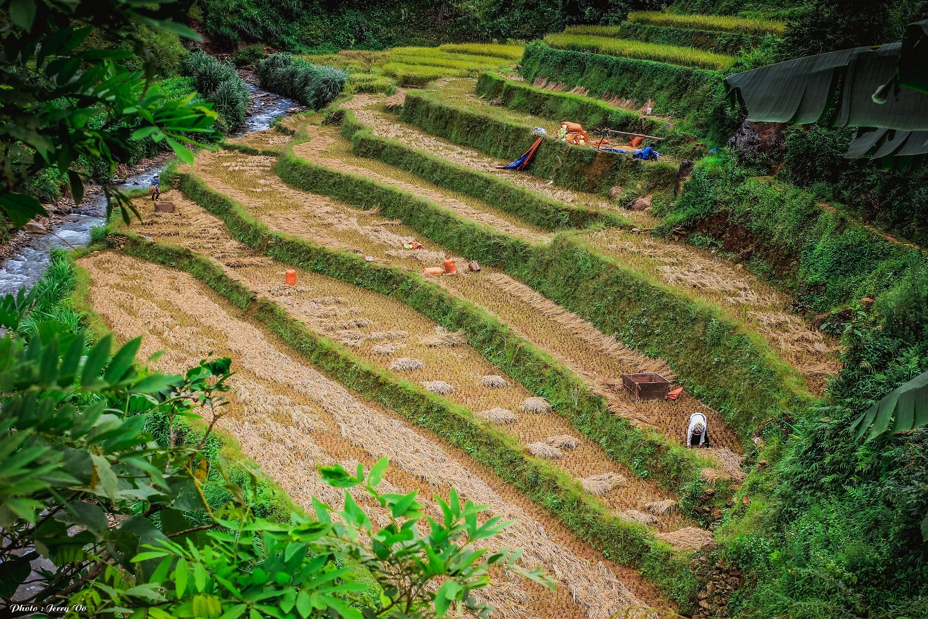 Ruộng bậc thang Mù Cang Chải ảnh 12 Ruong bac thang Mu Cang Chai anh 12