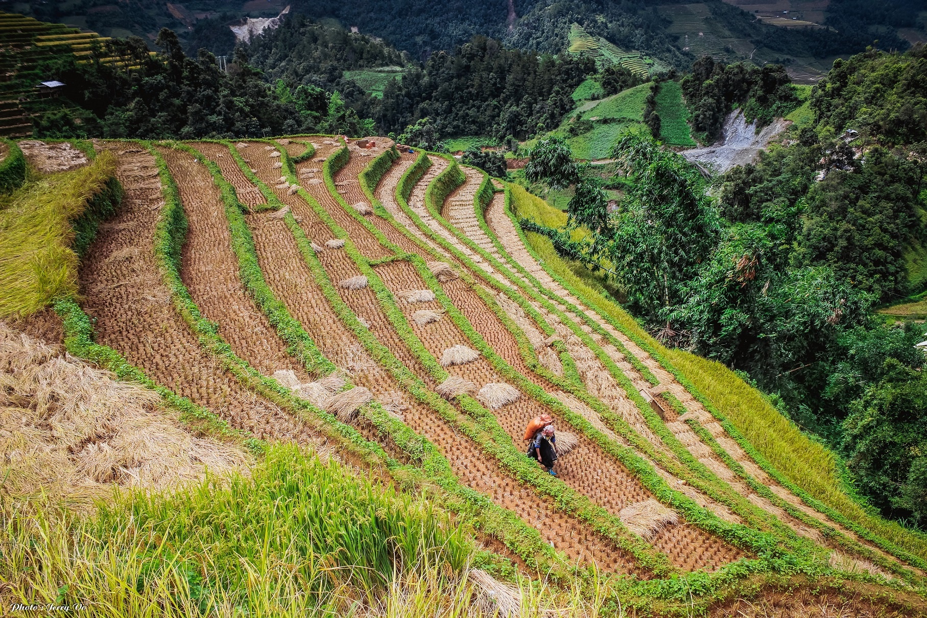 Ruộng bậc thang Mù Cang Chải ảnh 13 Ruong bac thang Mu Cang Chai anh 13