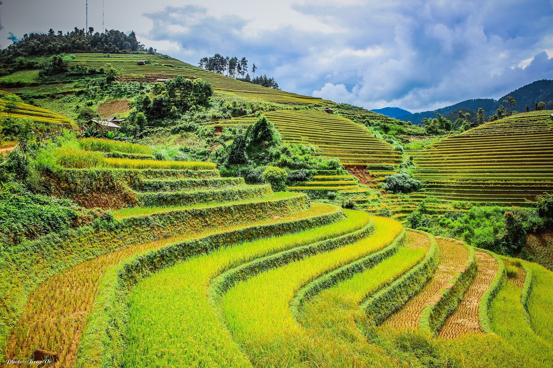Ruộng bậc thang Mù Cang Chải ảnh 14 Ruong bac thang Mu Cang Chai anh 14