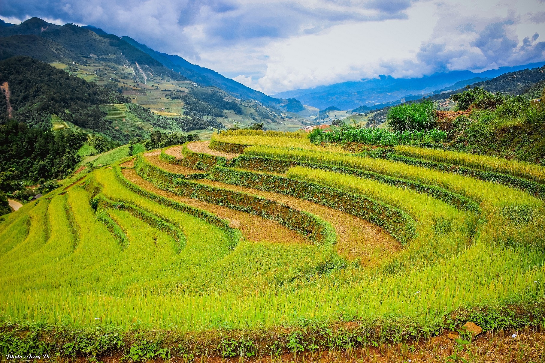 Ruộng bậc thang Mù Cang Chải ảnh 15 Ruong bac thang Mu Cang Chai anh 15